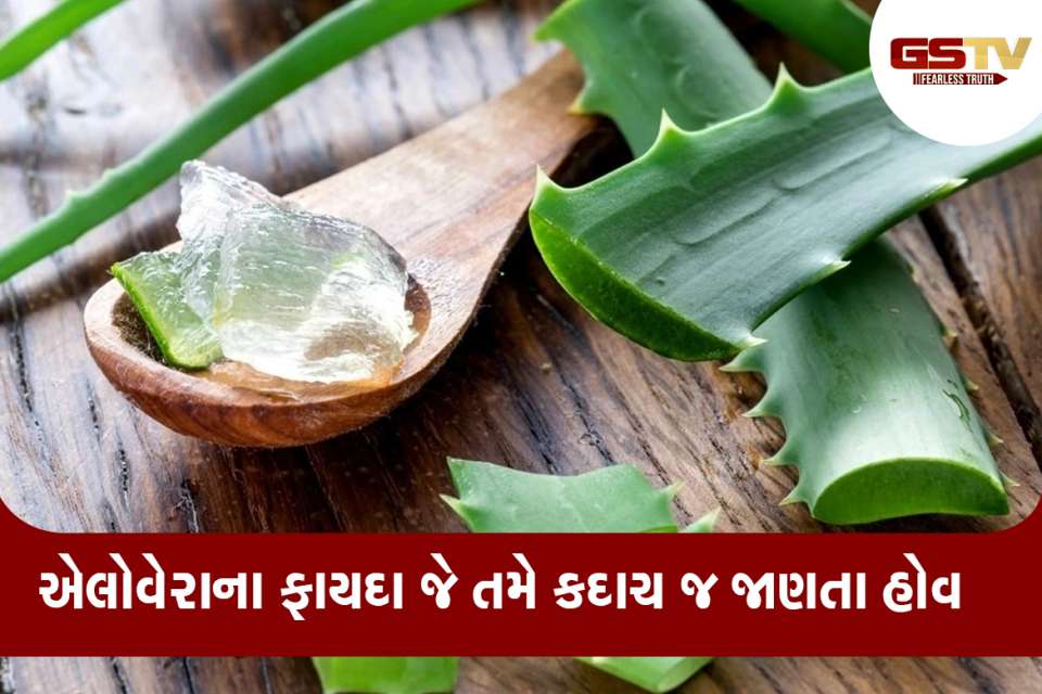 એલોવેરા