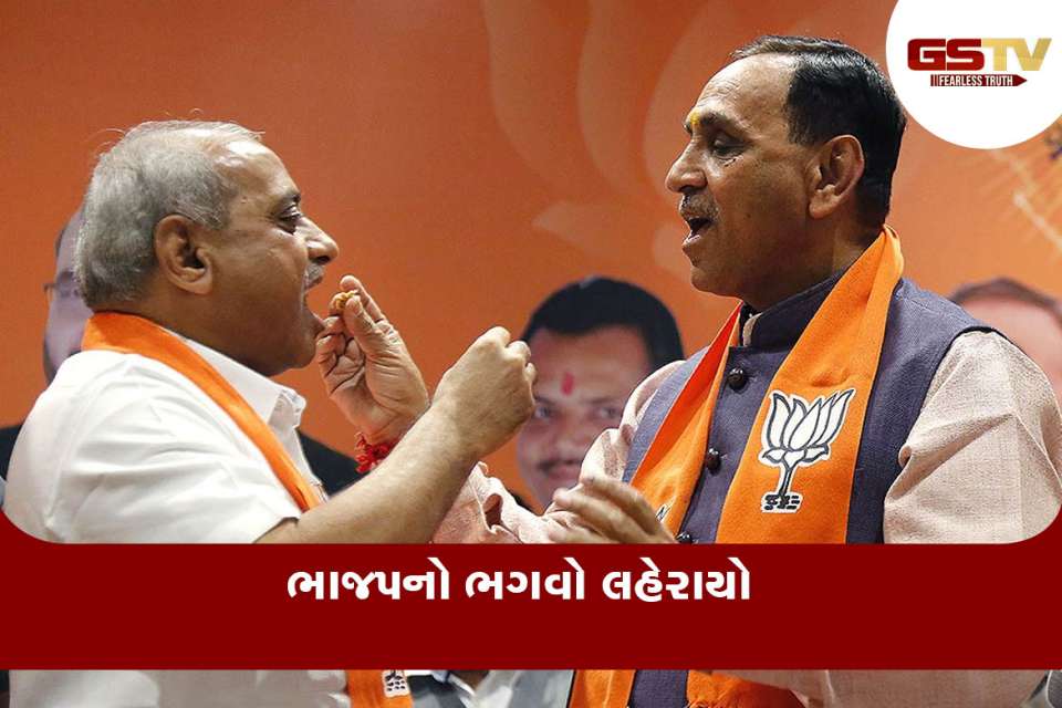 bjp gujarat