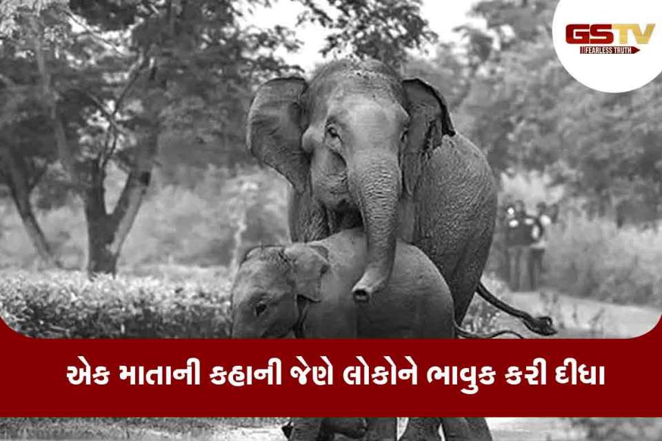 માતા