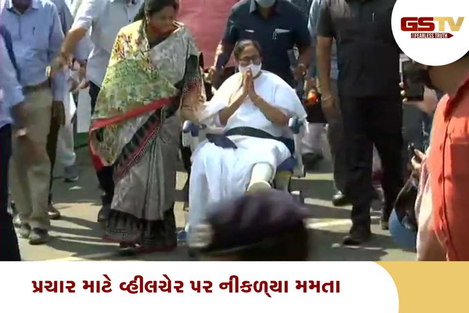 વ્હીલચેર