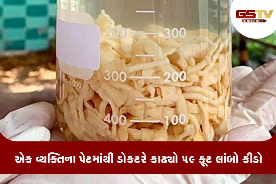 કીડો