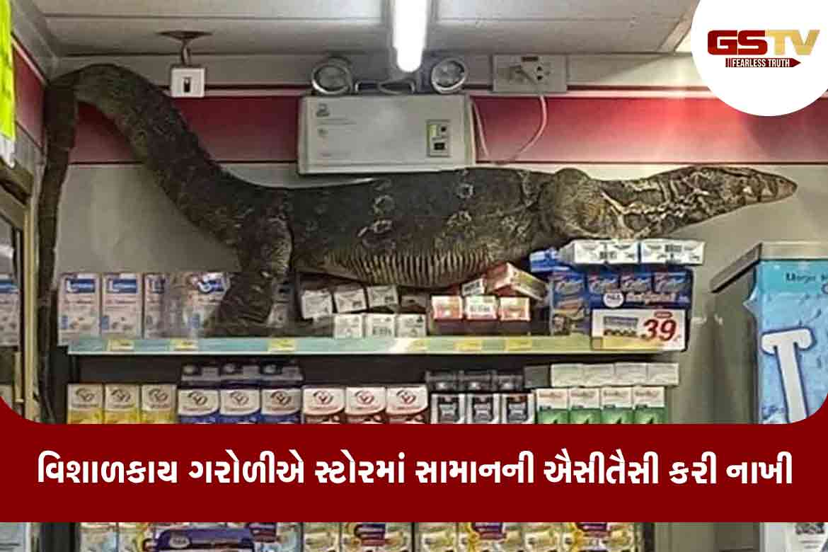 Вараны в тайланде