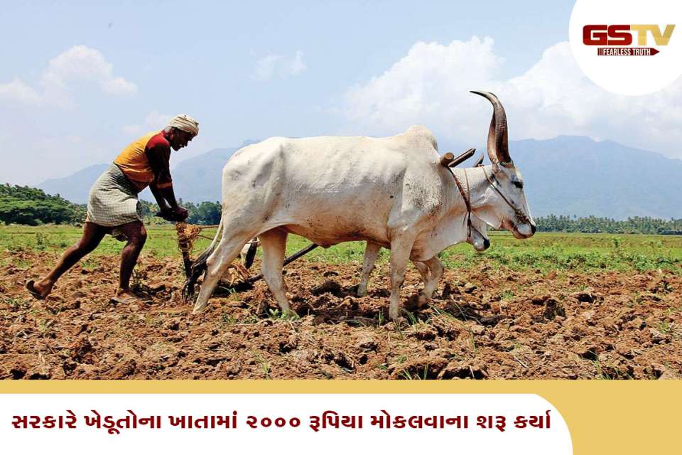 કિસાન