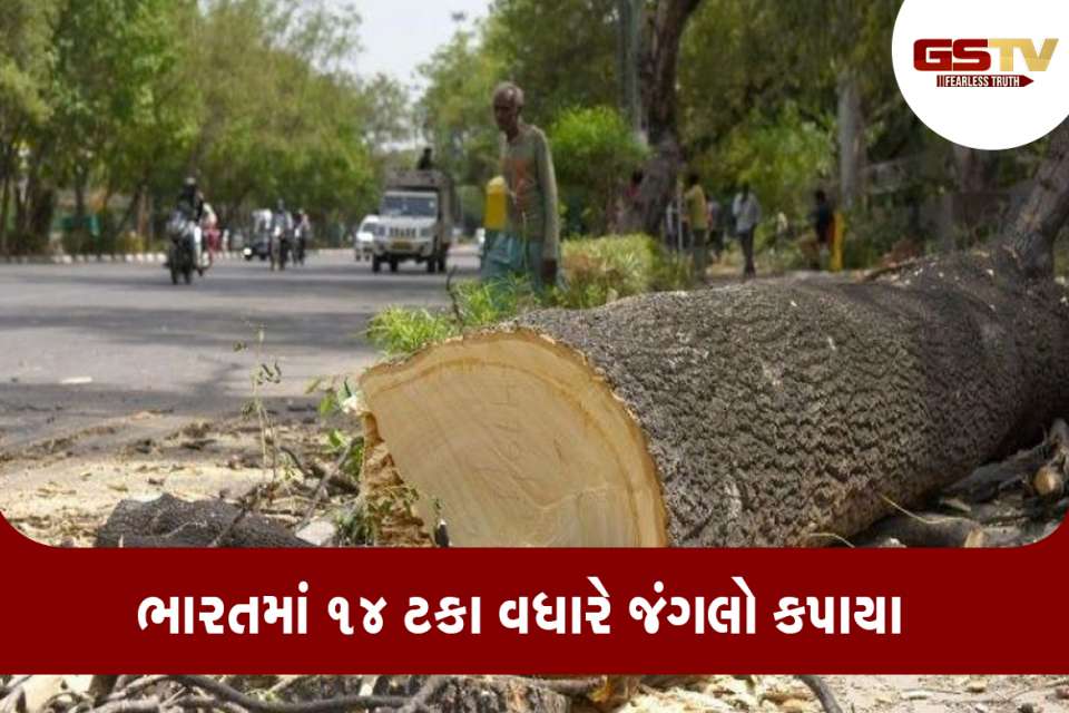 જંગલો