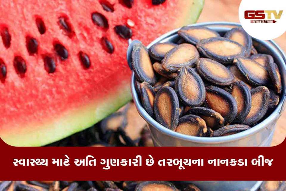 તરબૂચ